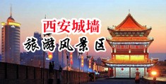站长工具密臀av中国陕西-西安城墙旅游风景区