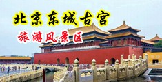 蜜臀av黄网站站长工具中国北京-东城古宫旅游风景区